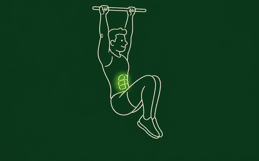Line illustration of the Hanging knee raise with the core muscles highlighted